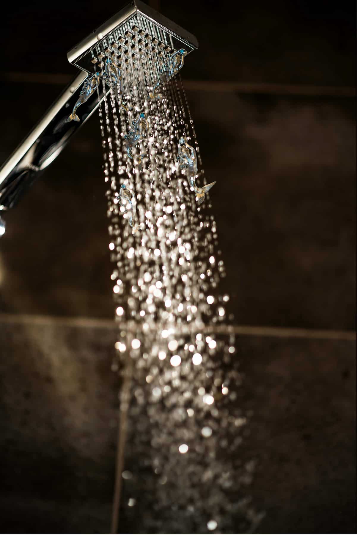 Rainfall Shower Head